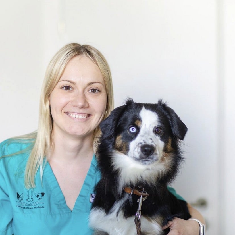 Tierärzte Schwerte Milica Isakovic